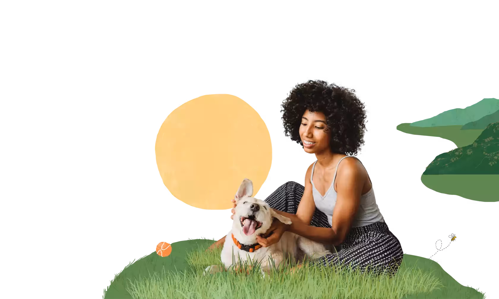 pet wellness