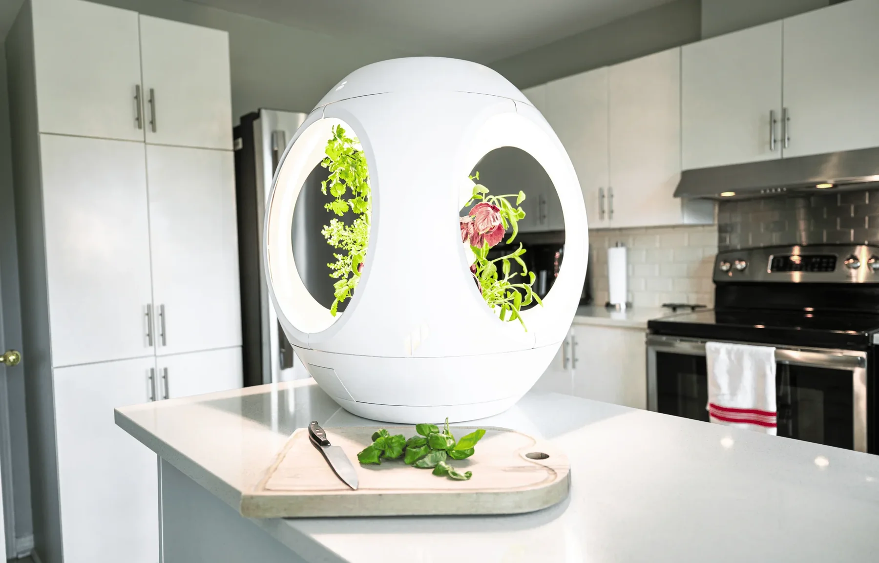 Smart Indoor Gardening & Eco Décor