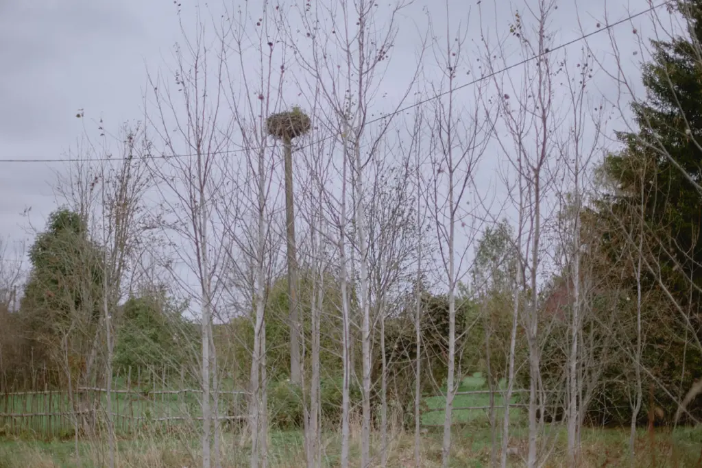 Фото: Лиза Жакова для НВ