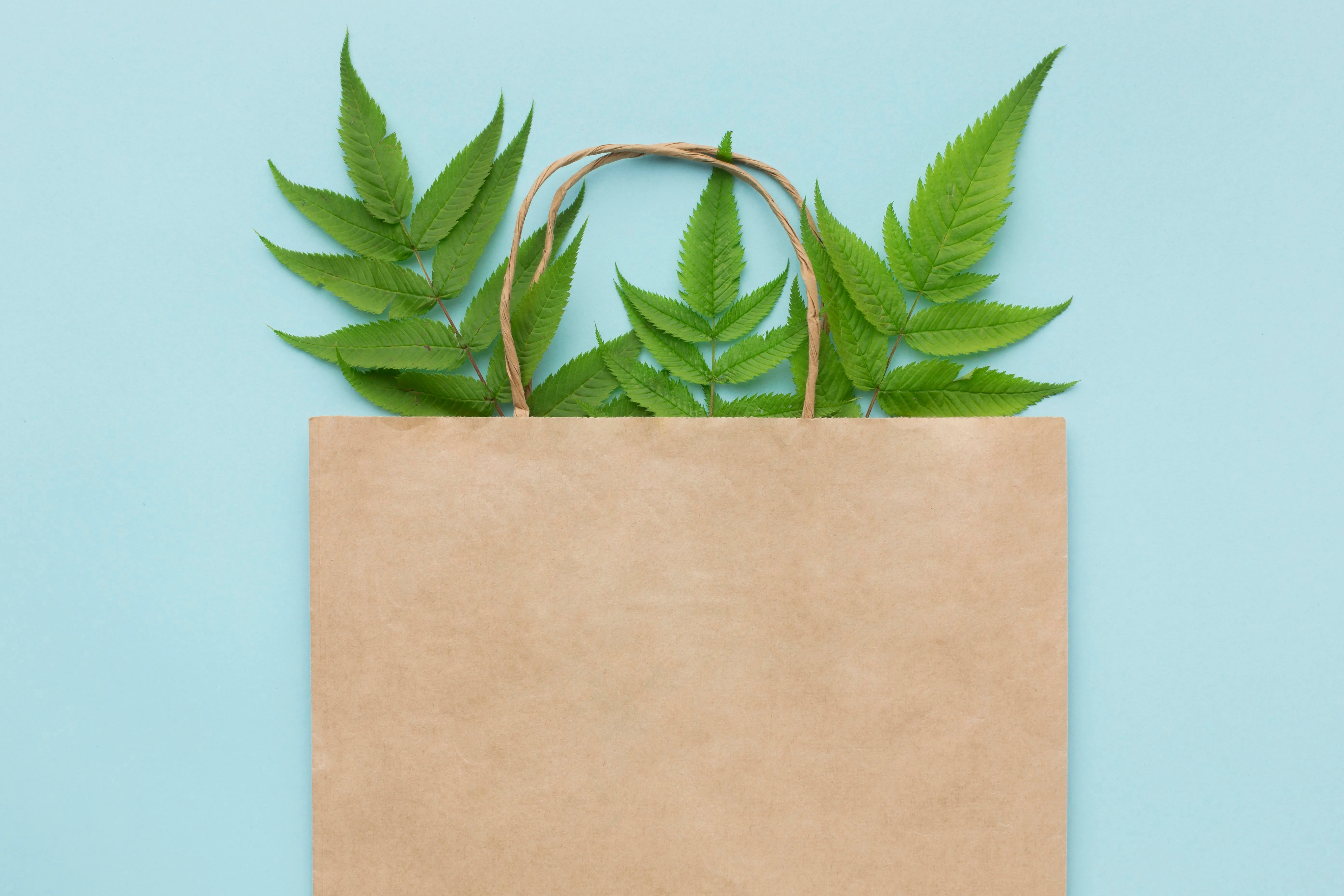 grocery bag