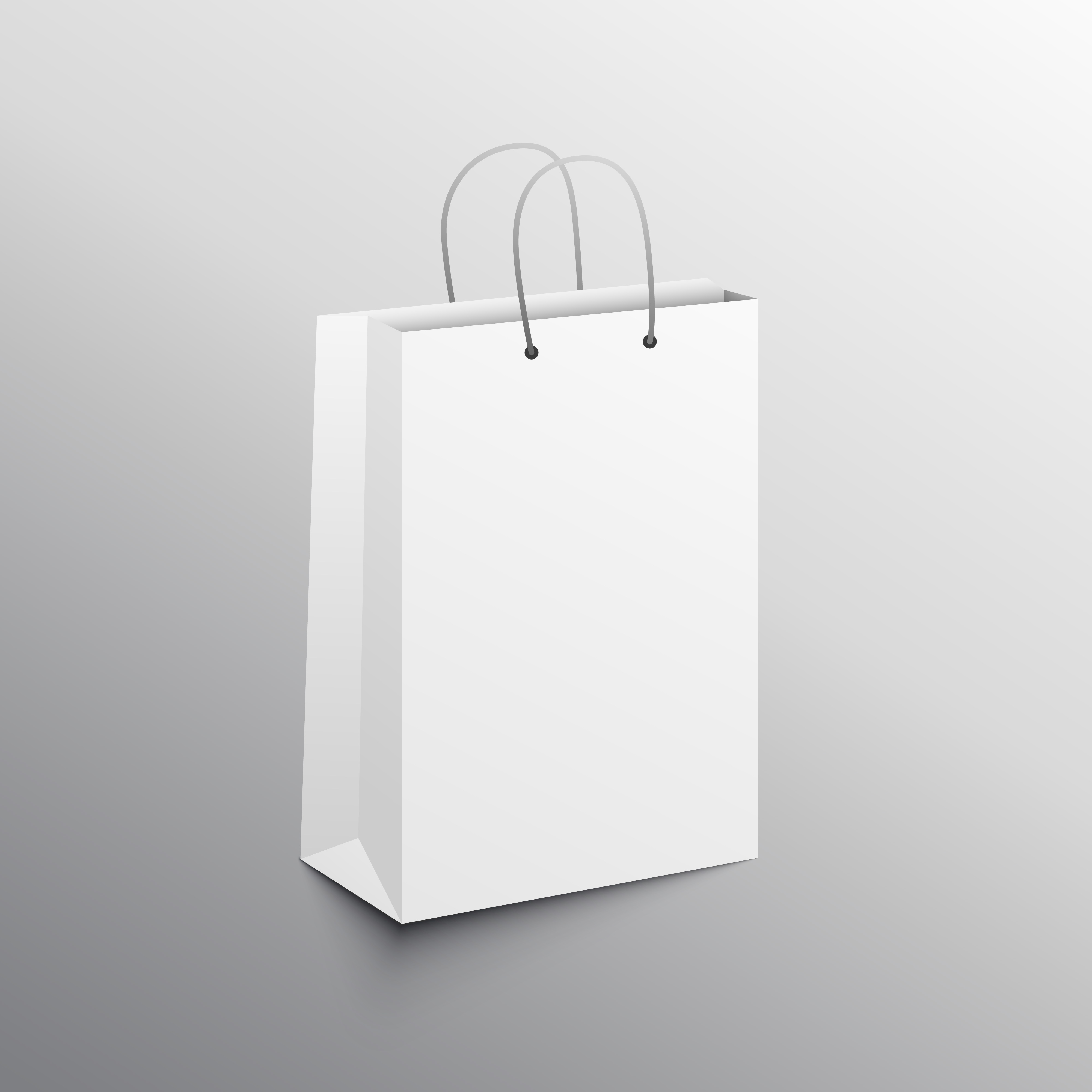 paper bag