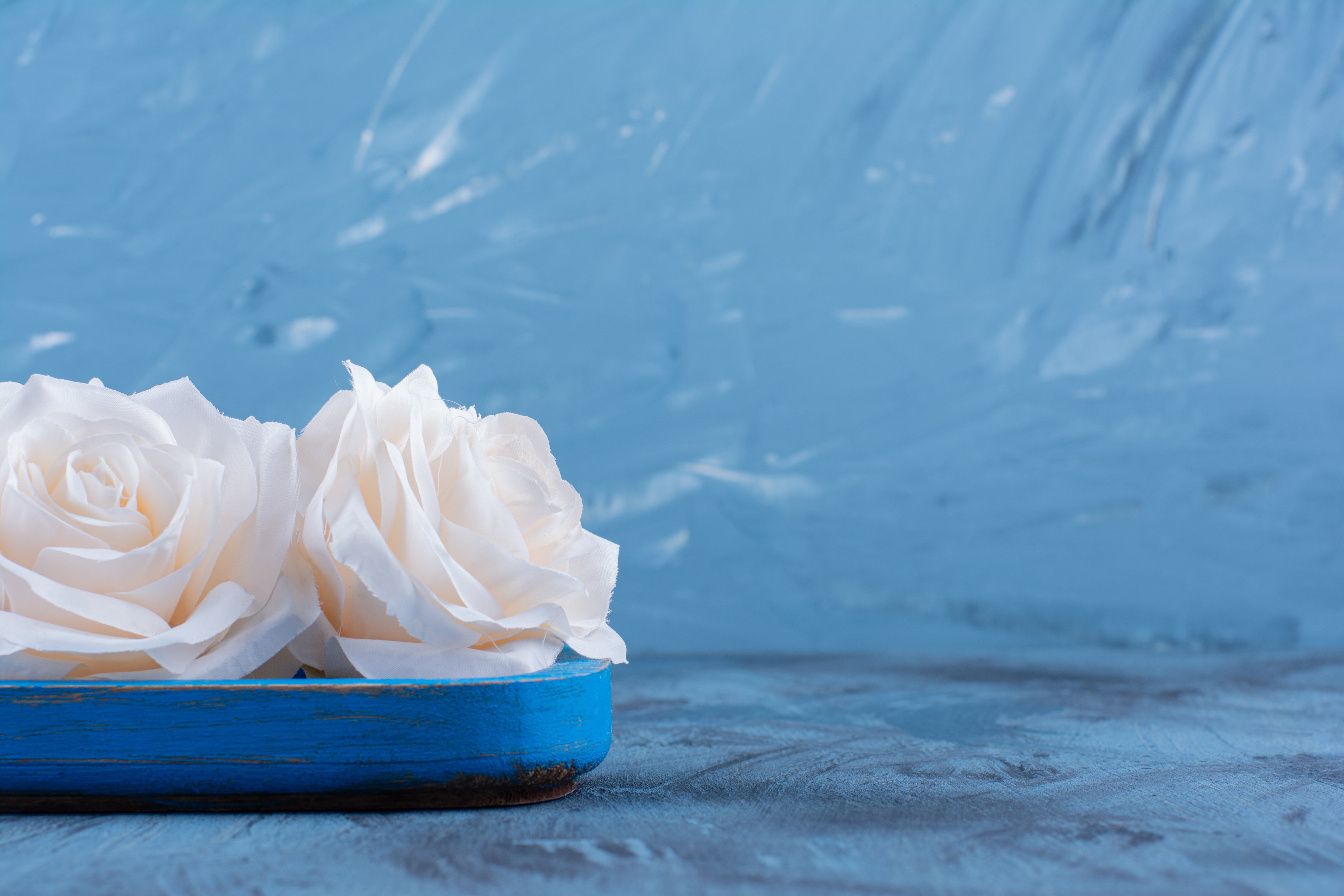 tissue paper