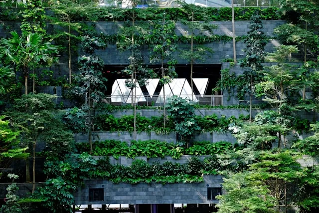 bâtiment avec végétation