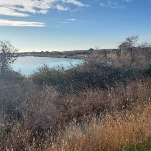 REUT - STEU Clarificateur