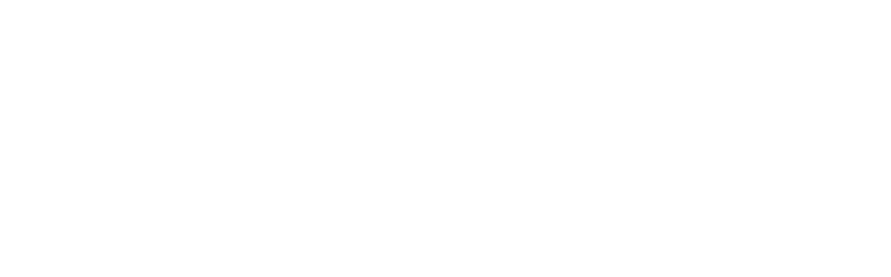 caily logo