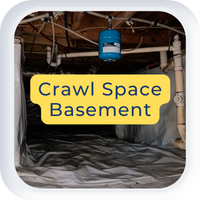 Shipshape Solutions System Monitor Appliance Monitor Crawl Space and Basement