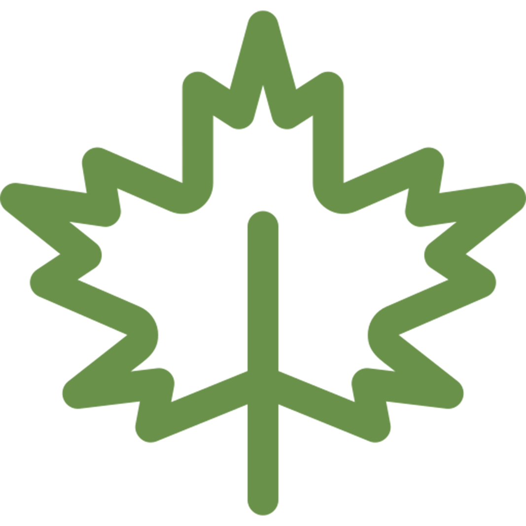 Service Icon 1