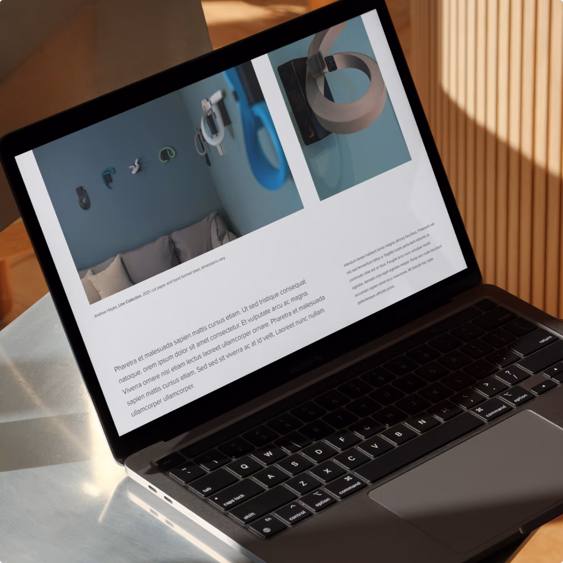 Laptop displaying a Hodges Taylor webpage with images of modern ring-shaped wall hooks mounted on a blue wall above a sofa.