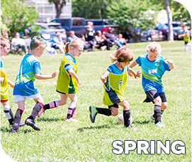 Spring Programs