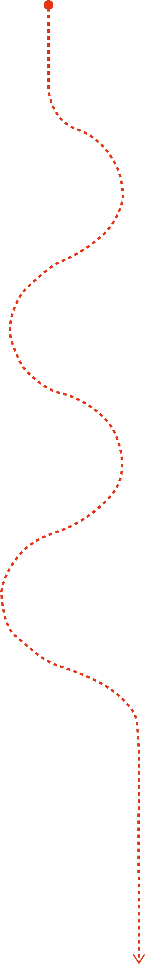Ligne pointillée rouge ondulée avec un point rouge à son extrémité supérieure et une flèche vers le bas à son extrémité inférieure.