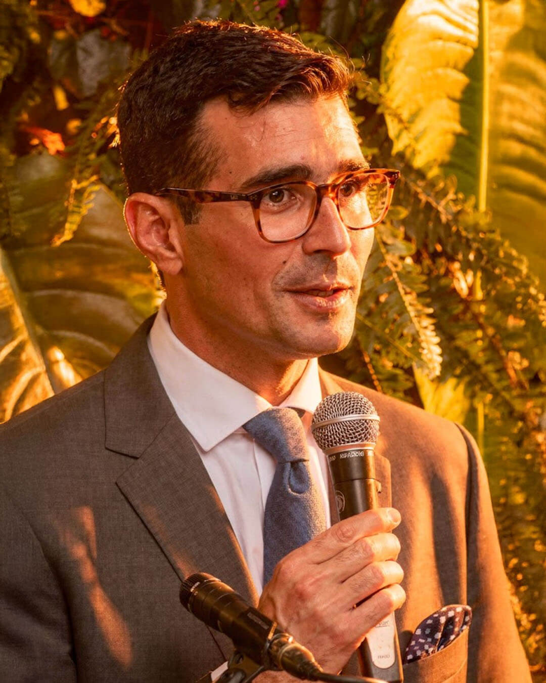 Andrés Guschmer