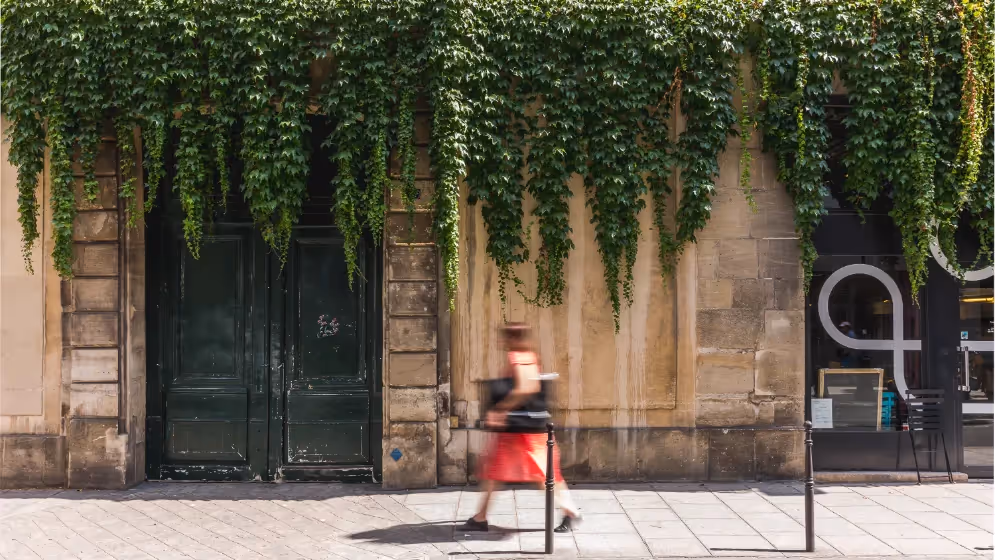 Le Facade Exterieure suite de luxe archives I