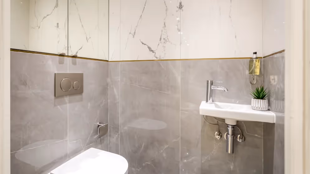 Le wc suite de luxe mauroy I