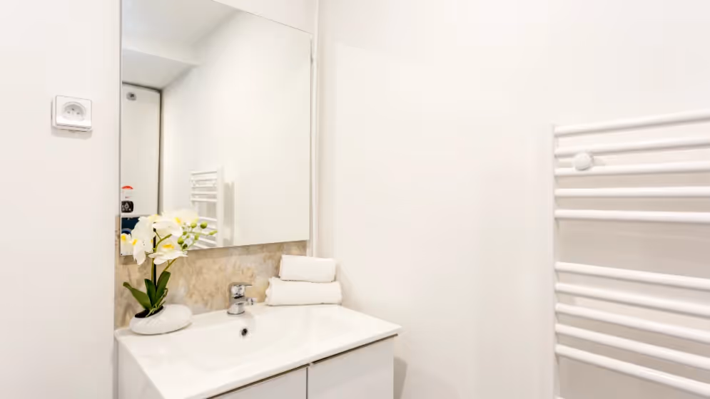Le sdb Appartement cosy dalayrac