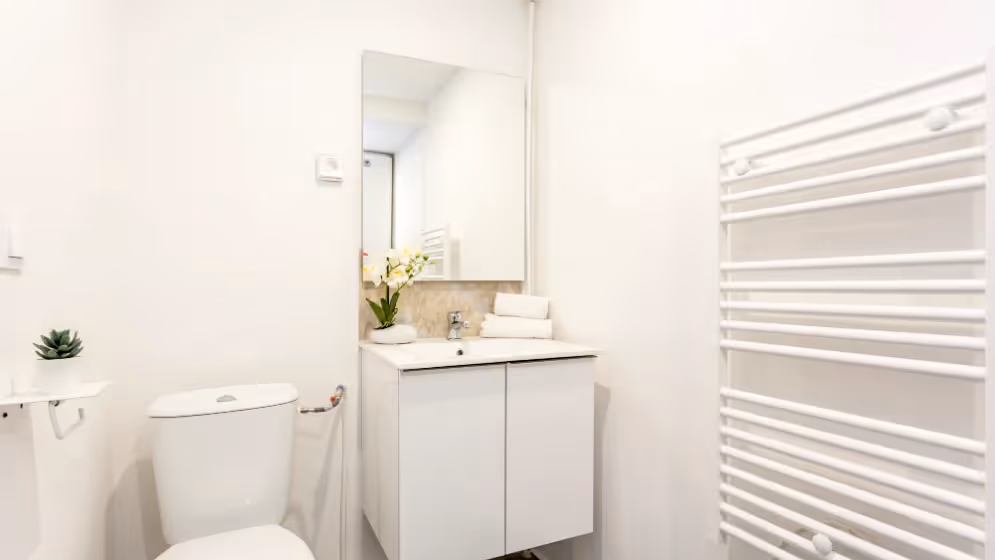 Le sdb Appartement cosy dalayrac
