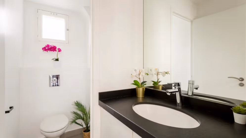 Le wc Appartement cosy rooseVelt