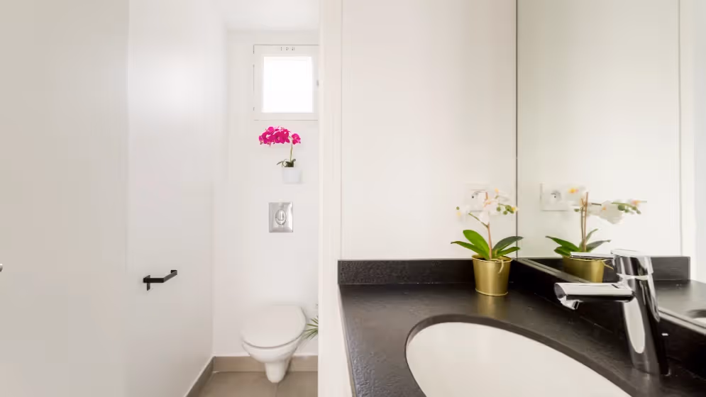Le wc Appartement cosy rooseVelt
