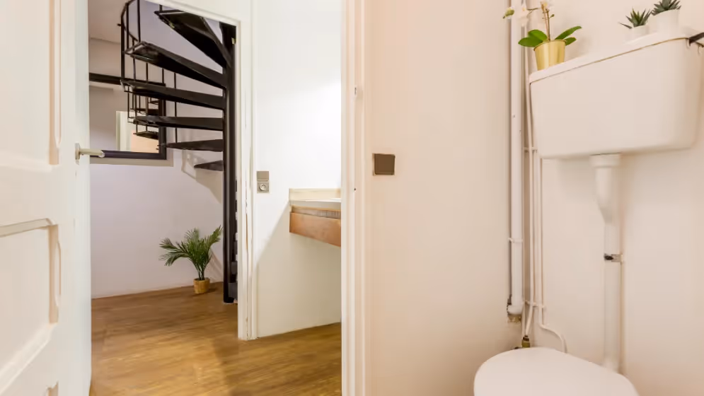 Le wc RDC Appartement cosy clery