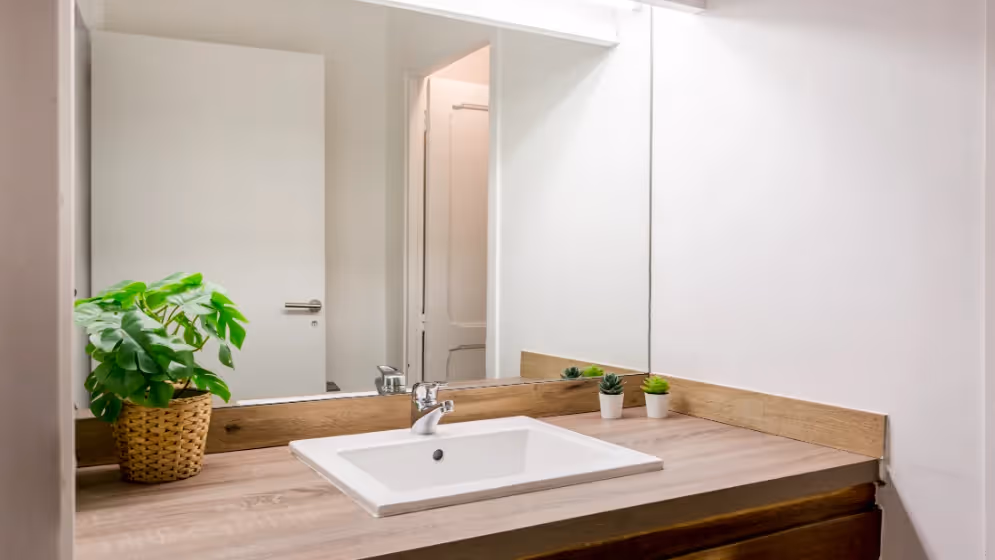 Le sdb RDC Appartement cosy clery