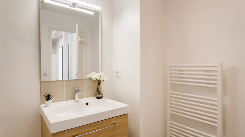 Le sdb Appartement cosy clery