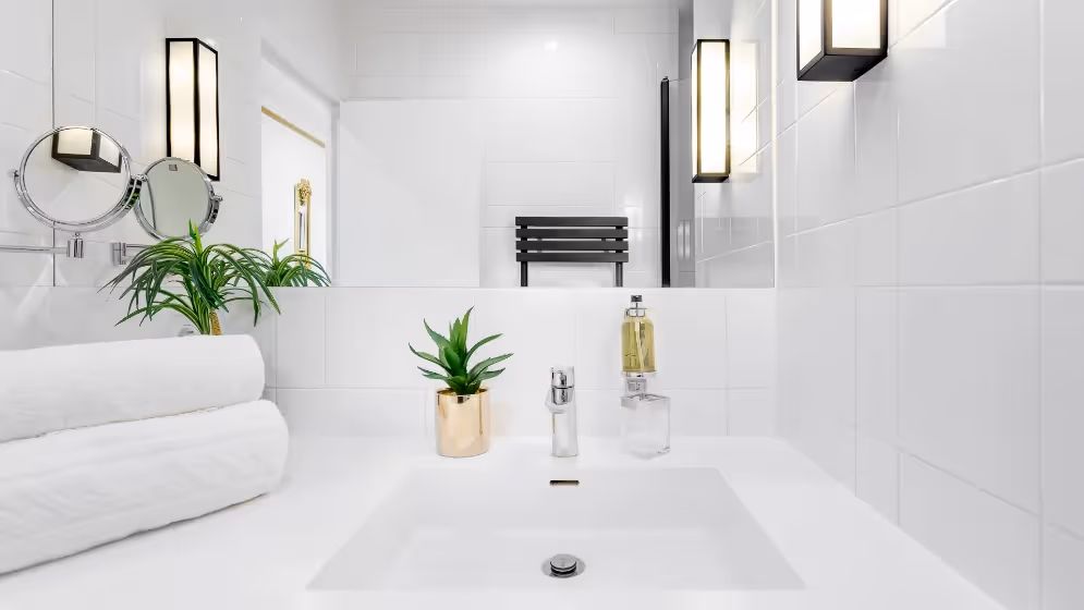 Le Vasque suite de luxe royale I vue madeleine