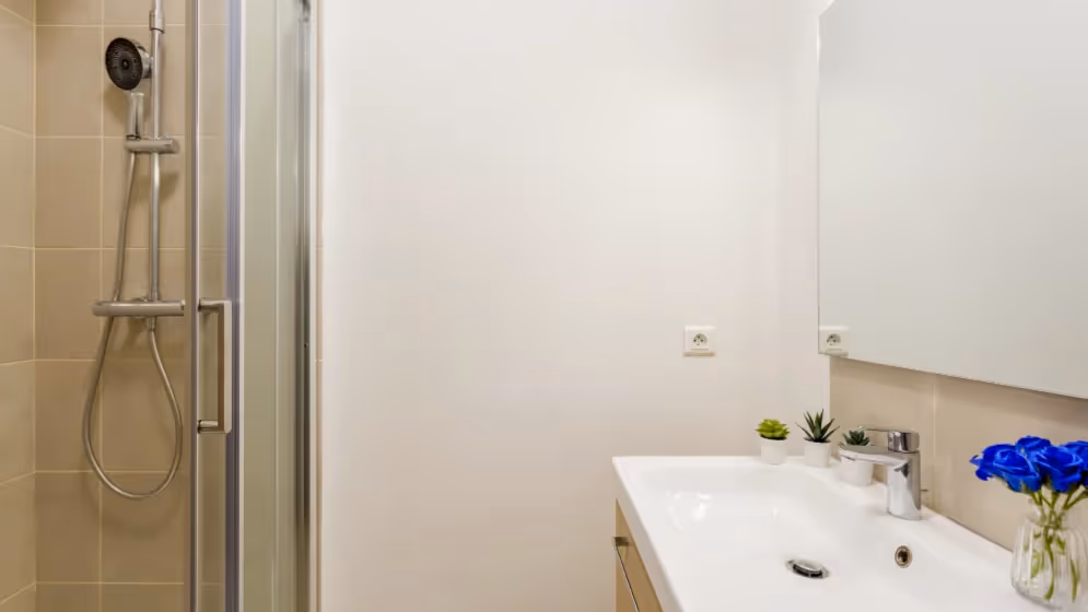 Le sdb Appartement cosy mollien