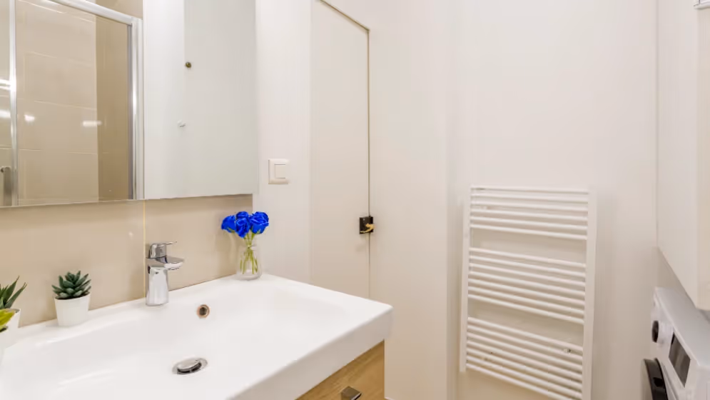 Le sdb Appartement cosy mollien