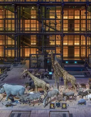 La Grande Galerie Merveil Paris