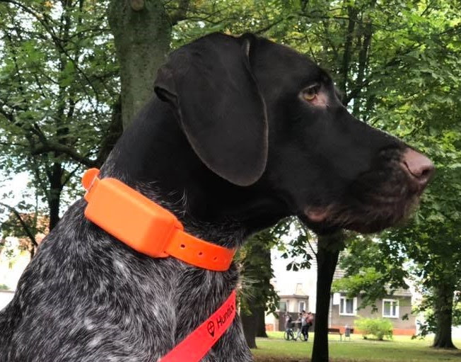 Huntlock DOG TRACKER HLT-4.0 GPS TREKERIS