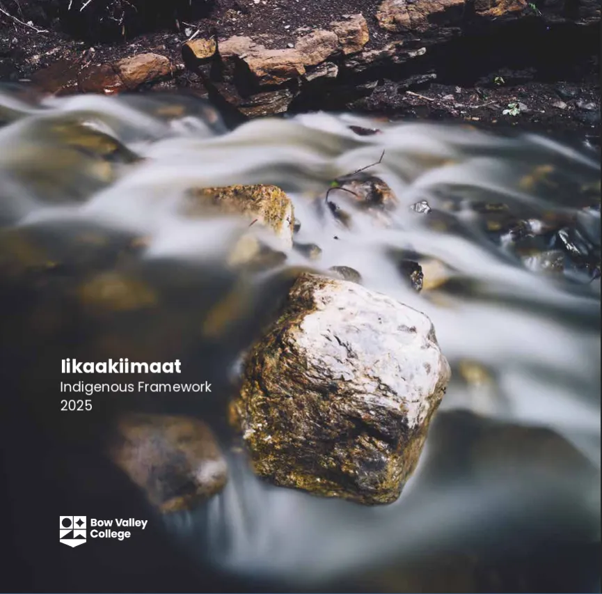 Iikaakiimaat Indigenous Framework