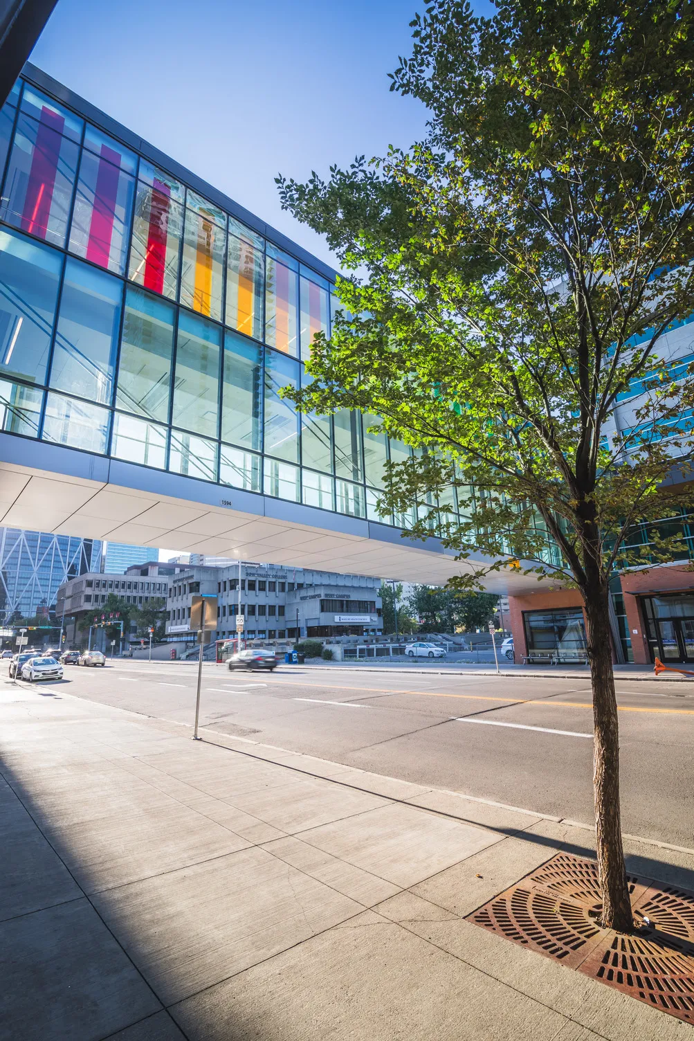 A shot of Bow Valley College's plus and plus 30 bridge that connect the south campus to north campus.
