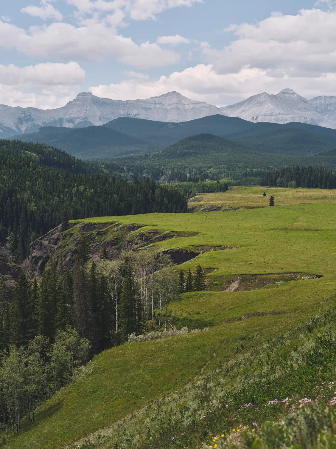 Alberta Rockies Mountain