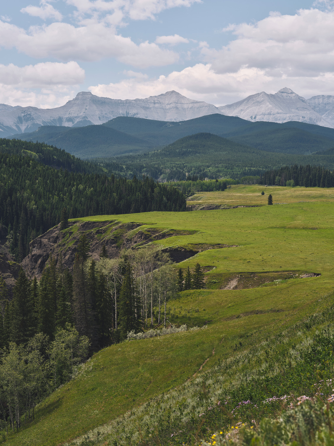 Alberta Rockies Mountain