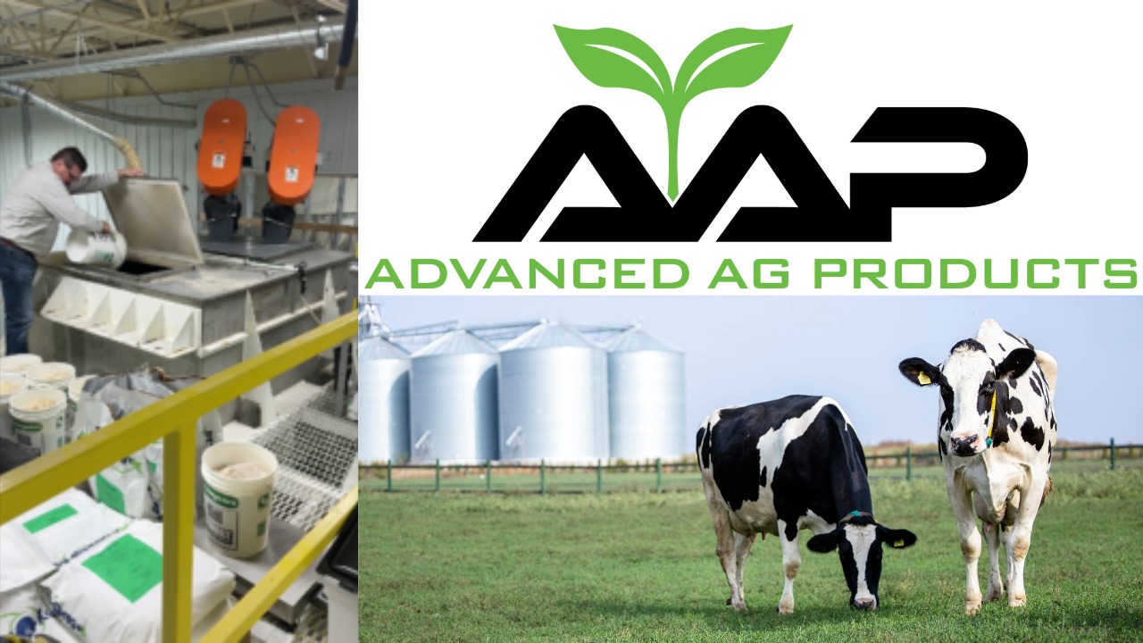 People at a table analyzing a Sell on Amazon Buy Box Chart