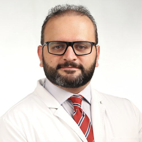 Dr. Dr. Michel Mikheil, DDS