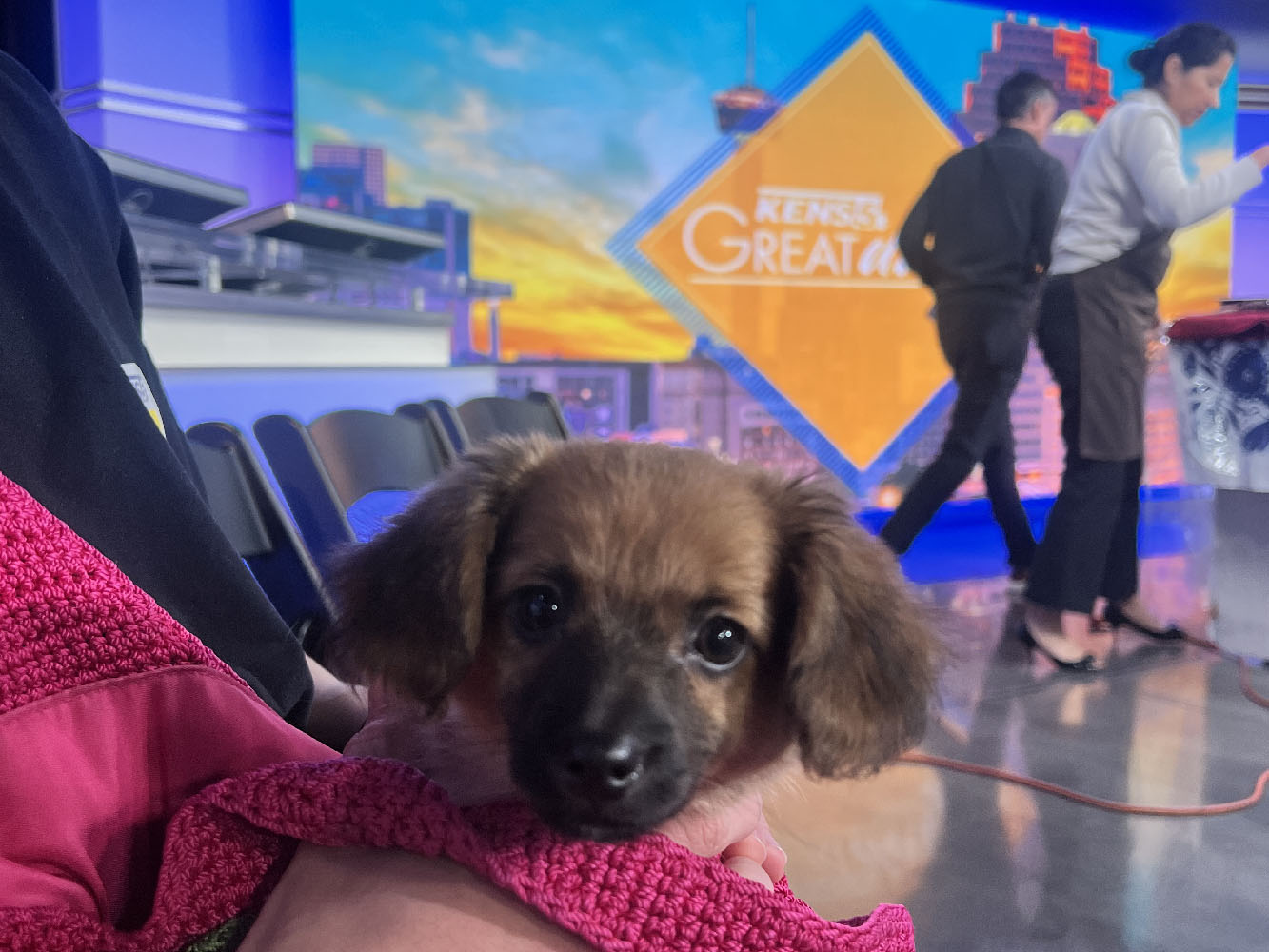 ReRoof Team on Set of SA Today