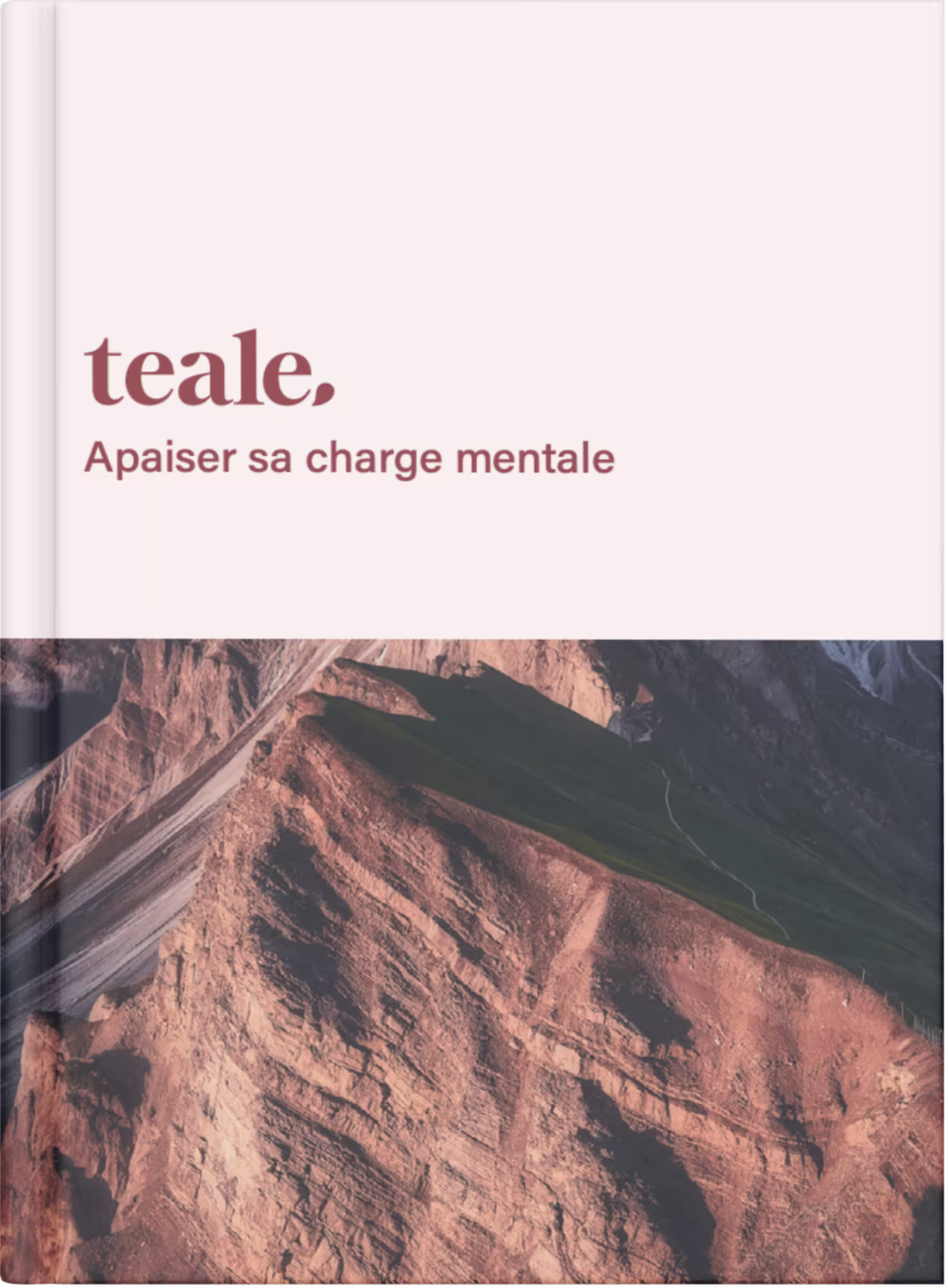 Guide Pratique Apaiser sa Charge Mentale