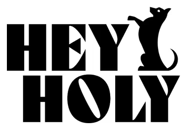 HEY HOLY logo