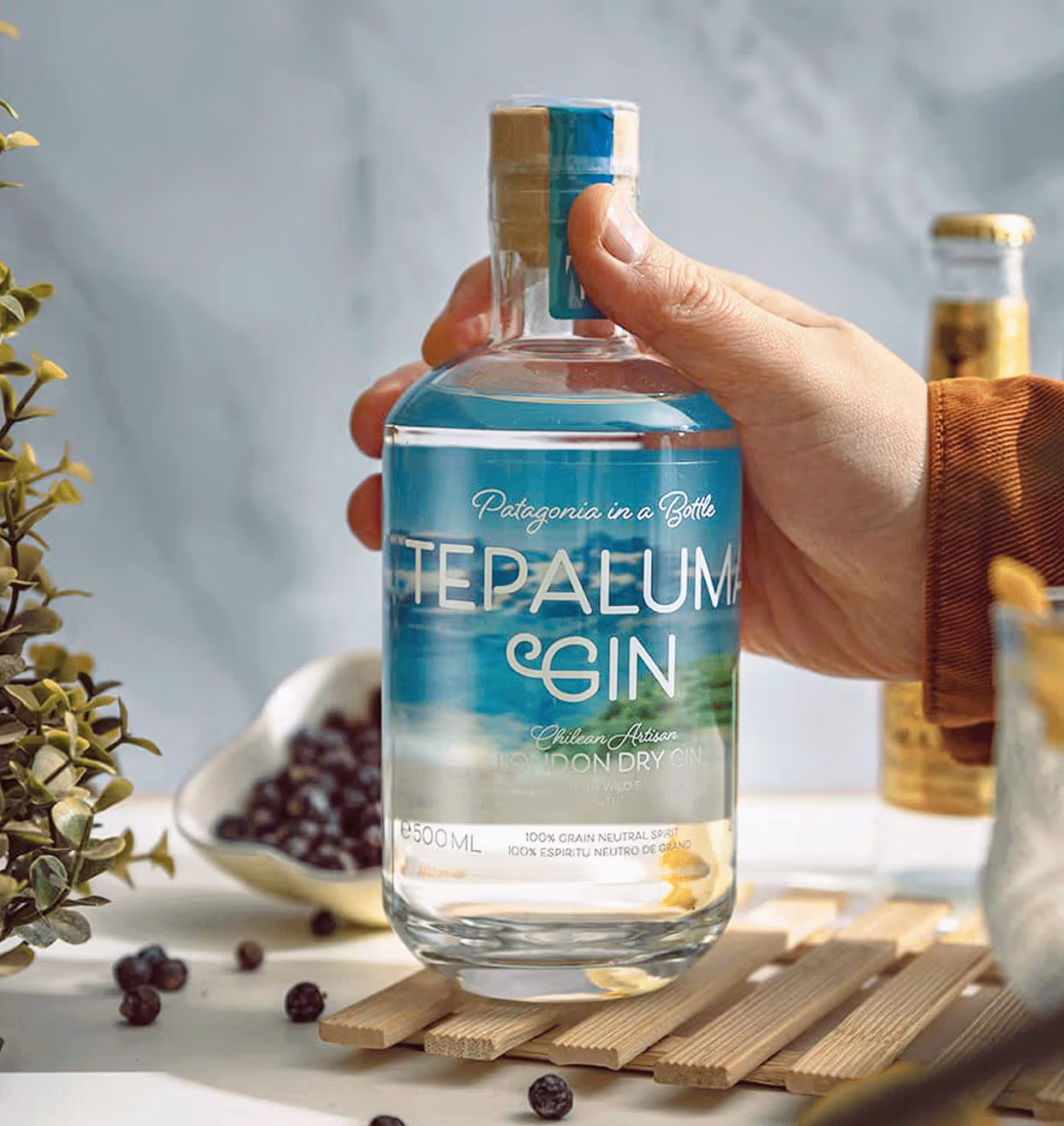 Chilean gin bottle that is being held