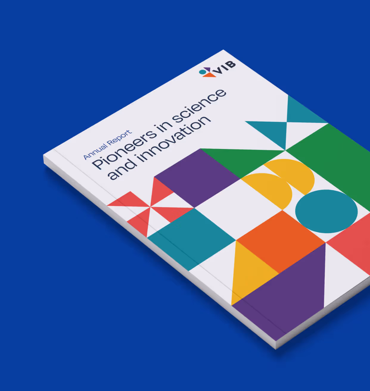 VIB's annual report is displayed on a blue background.
