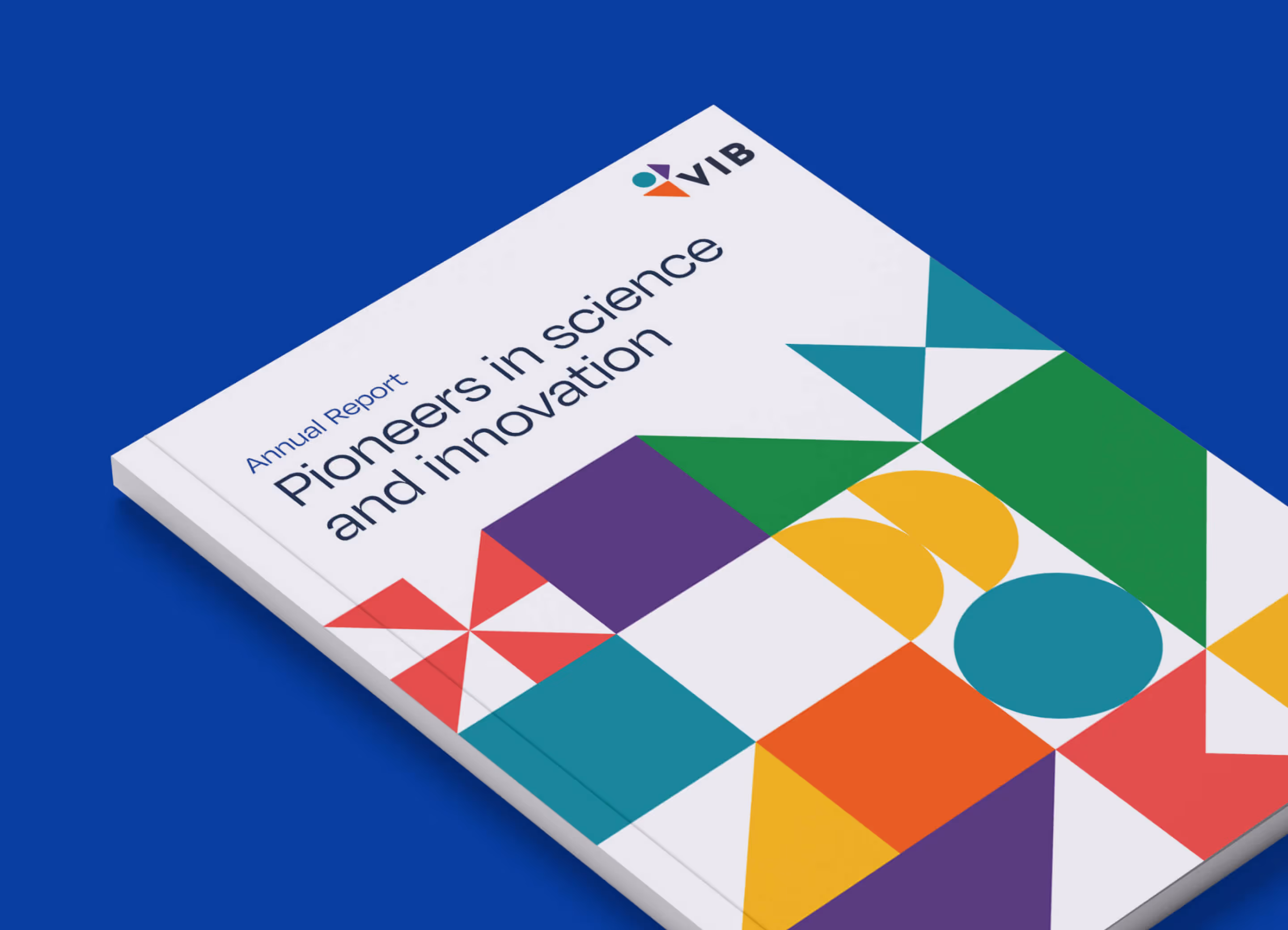 VIB's annual report is displayed on a blue background.