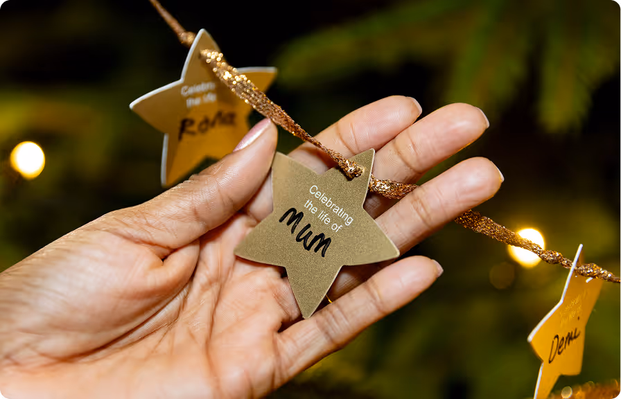 Subism web design and development agency