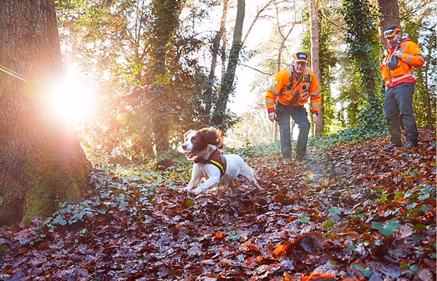 Subism web design and development agency