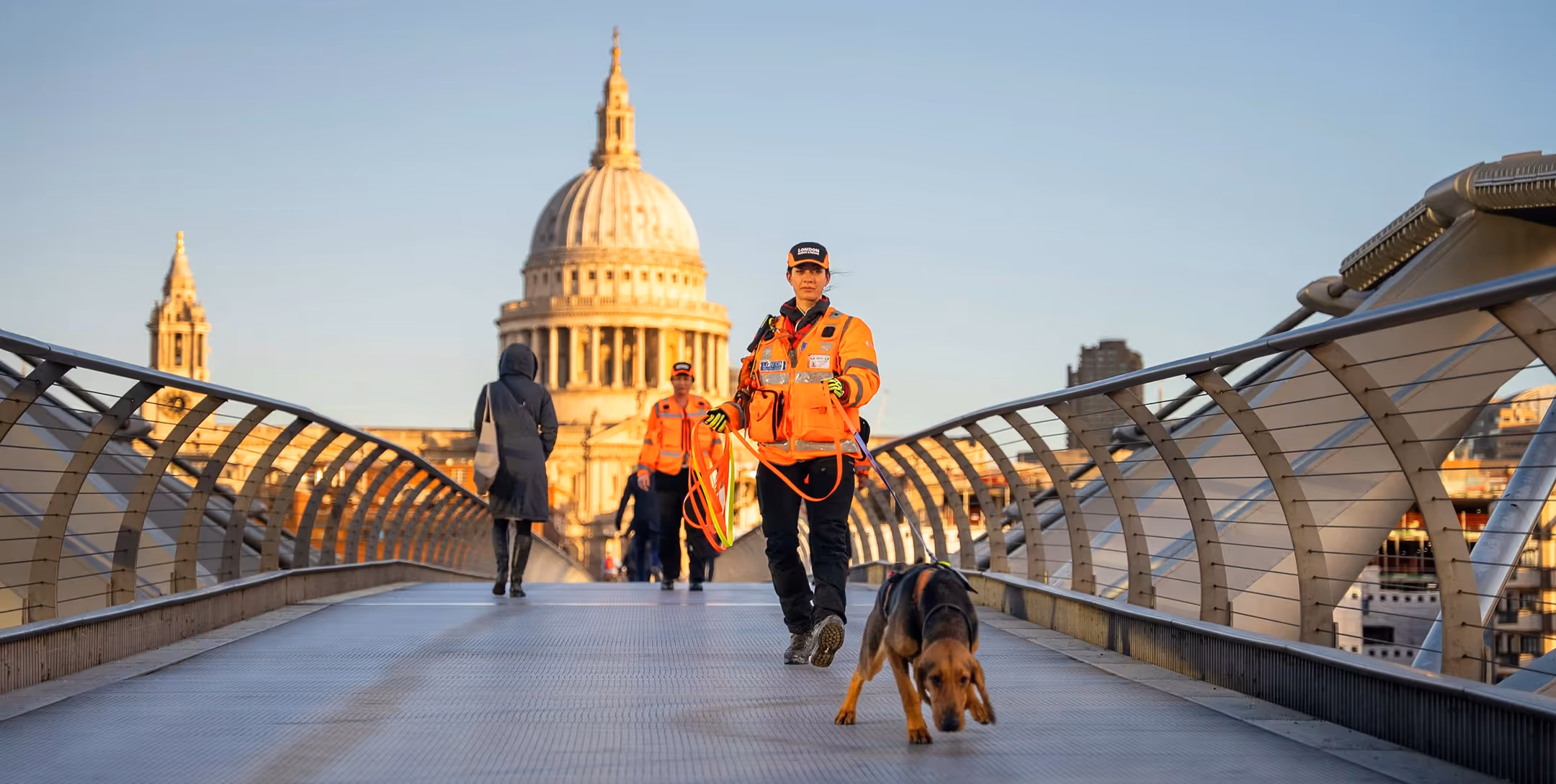 Subism web design and development agency