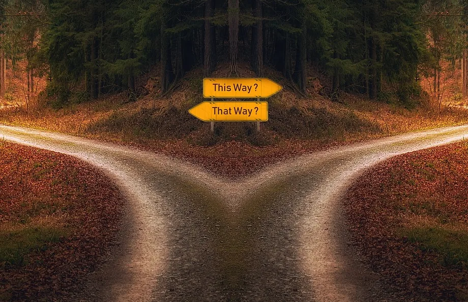 A woodland path splitting in two beneath a yellow signpost reading This Way and That Way