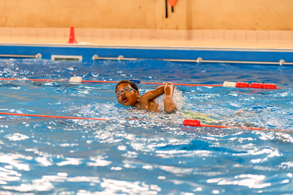 World of Swimming graphic design and website design