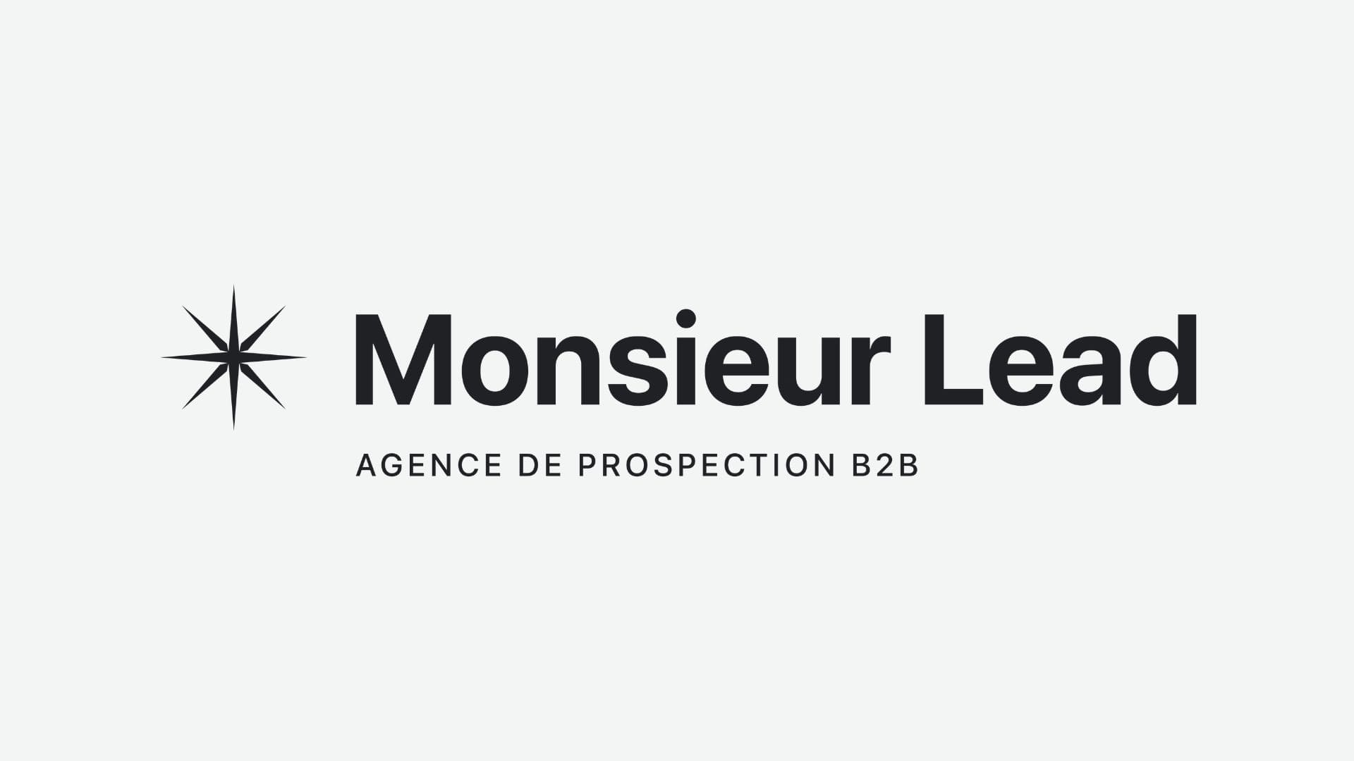 Monsieur lead : Agence de prospection B2B