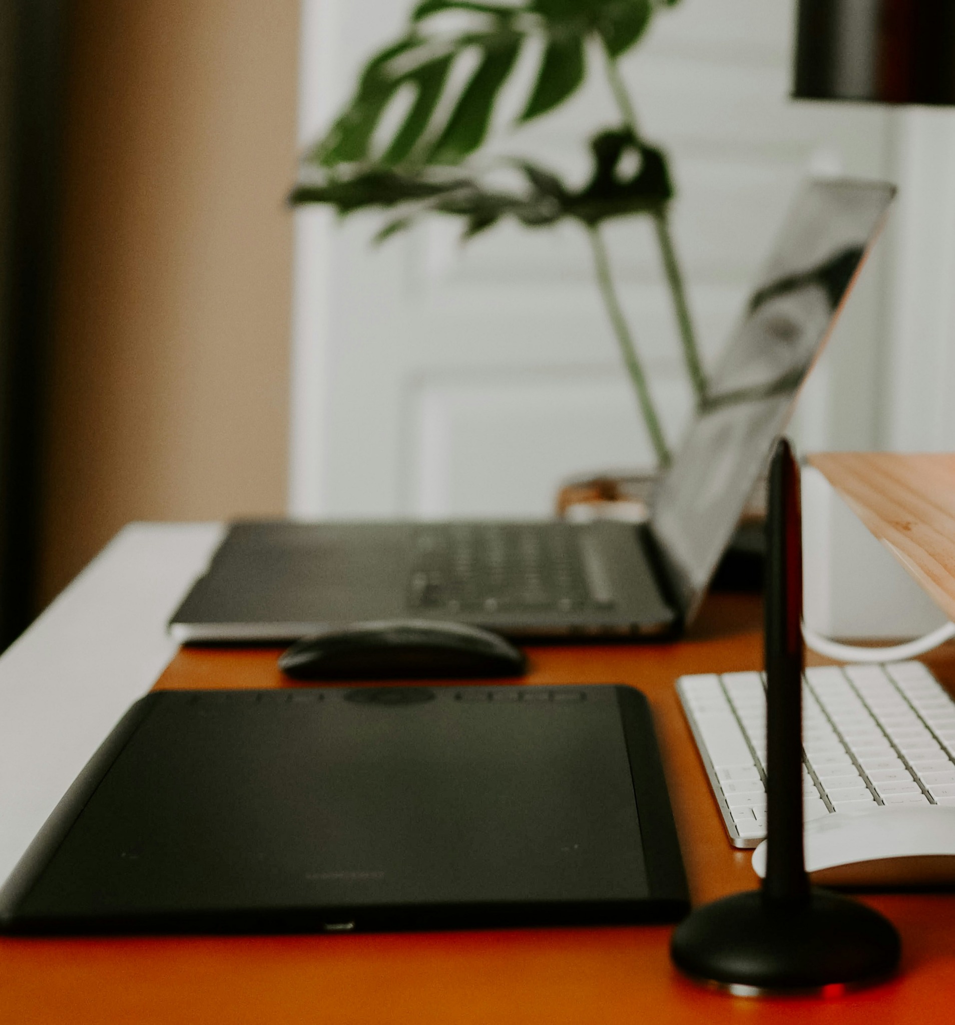Un bureau organisé et design avec deux ordinateurs portables, une tablette graphique et une plante verte.
