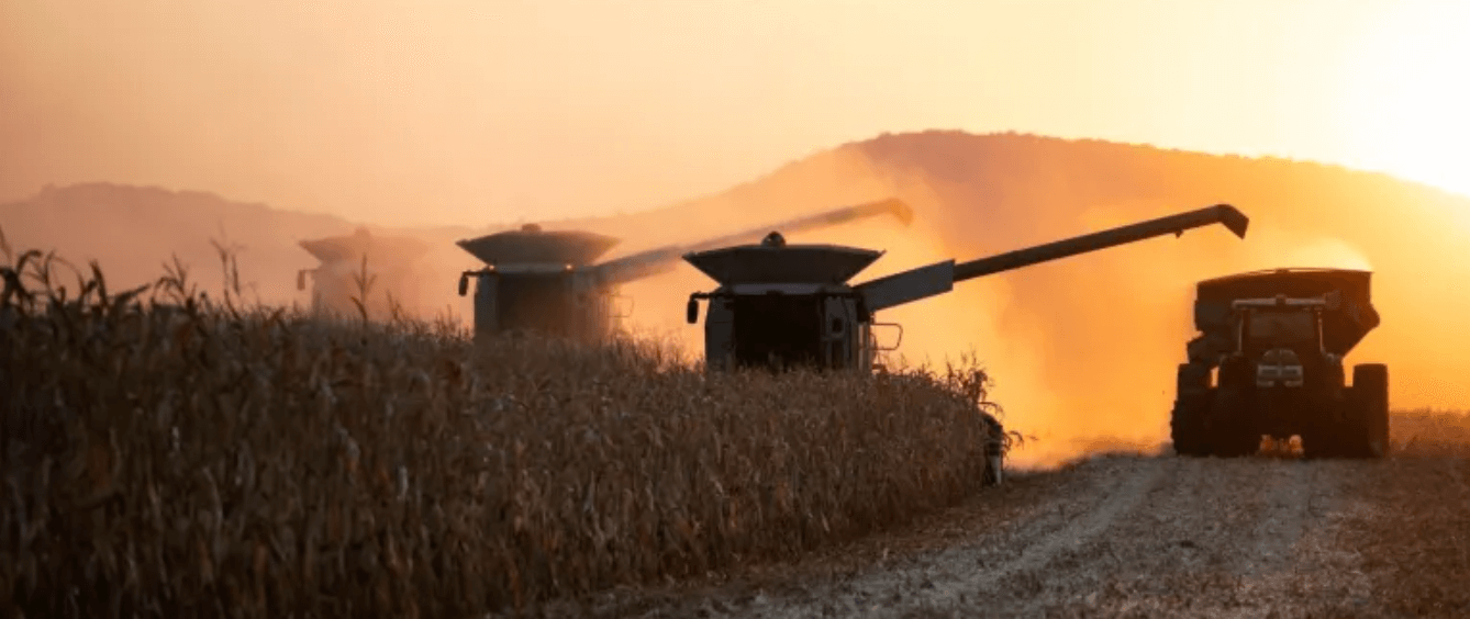 Obrázek: Analýza trhu