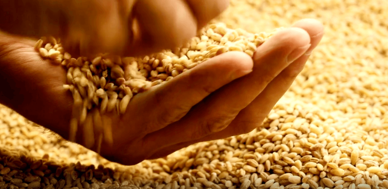 Obrázek: Analýza trhu